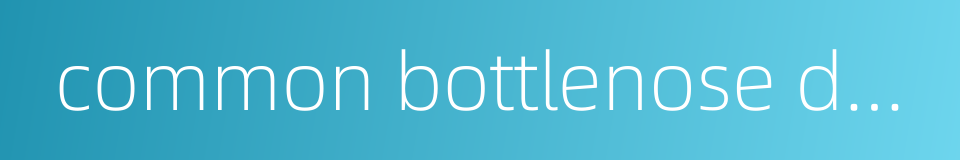common bottlenose dolphin的同义词