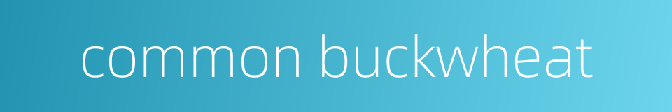 common buckwheat的同义词