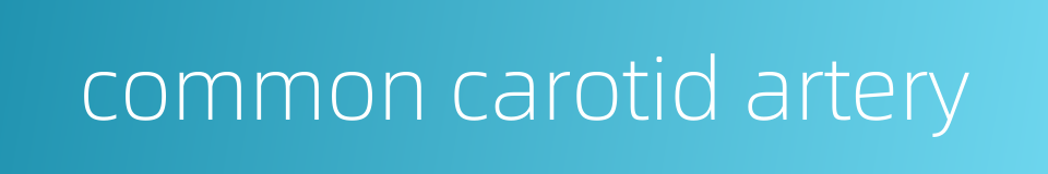 common carotid artery的同义词