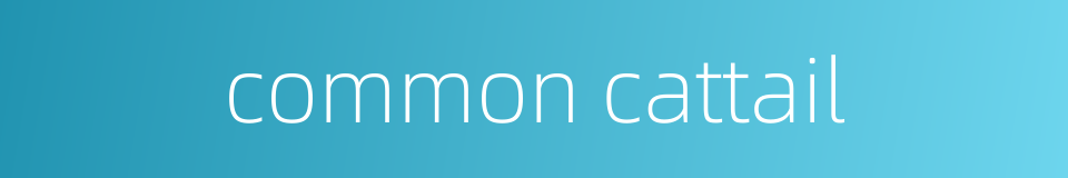 common cattail的同义词