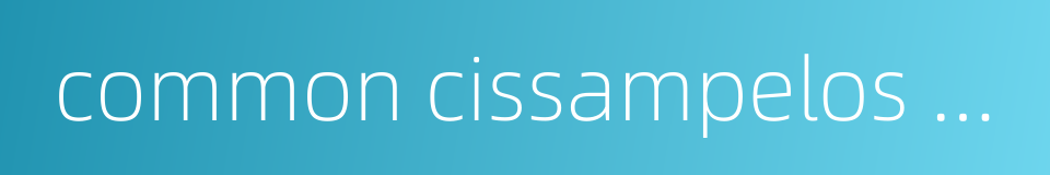 common cissampelos herb的同义词