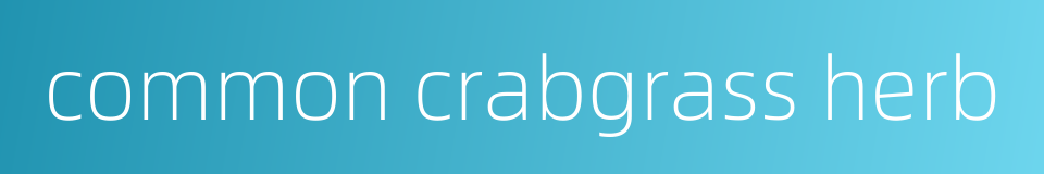 common crabgrass herb的同义词
