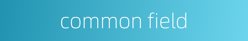 common field的同义词