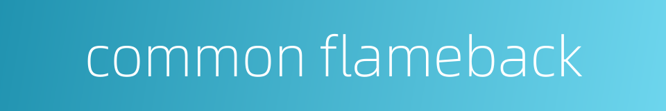 common flameback的同义词