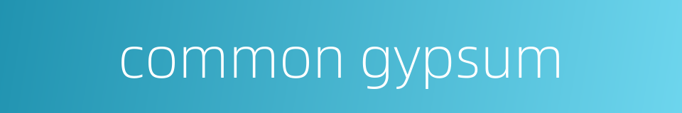 common gypsum的同义词