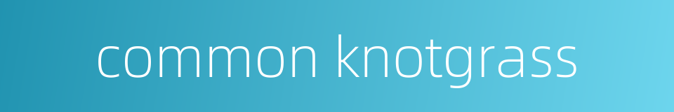 common knotgrass的同义词