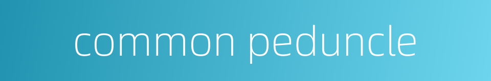 common peduncle的同义词