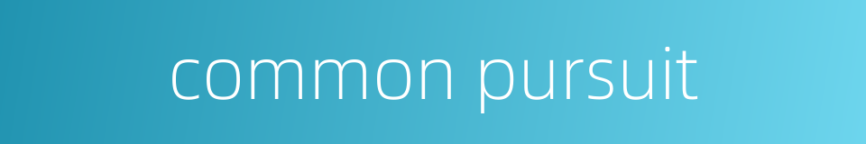 common pursuit的同义词