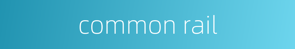 common rail的同义词