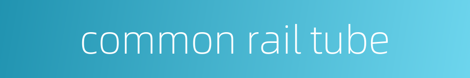 common rail tube的同义词