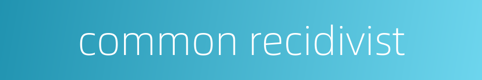common recidivist的同义词