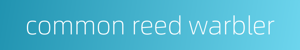 common reed warbler的同义词