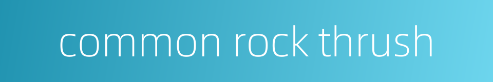 common rock thrush的同义词