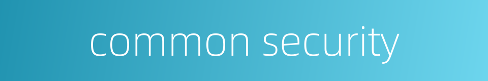 common security的同义词