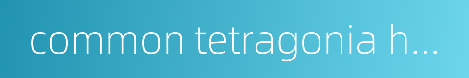 common tetragonia herb的同义词