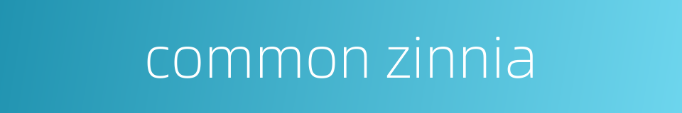 common zinnia的同义词