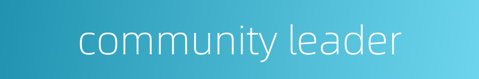 community leader的同义词