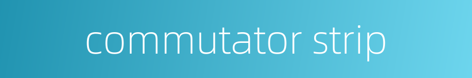 commutator strip的同义词