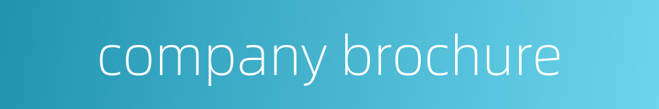company brochure的同义词