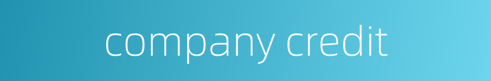 company credit的同义词
