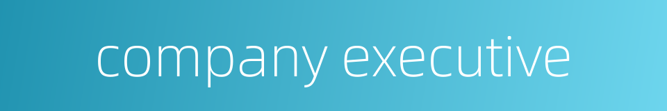 company executive的同义词