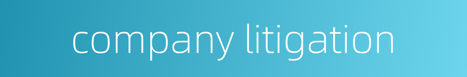 company litigation的同义词