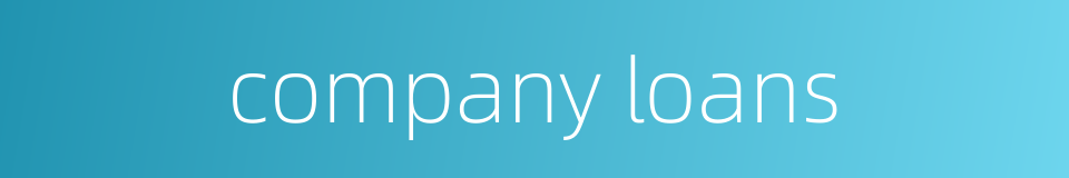 company loans的同义词
