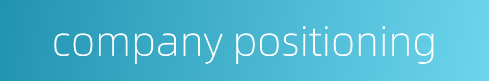 company positioning的同义词