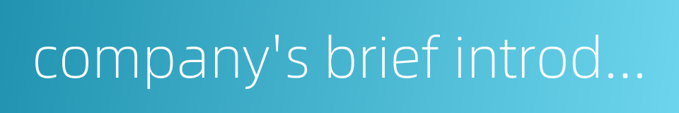 company's brief introduction的同义词