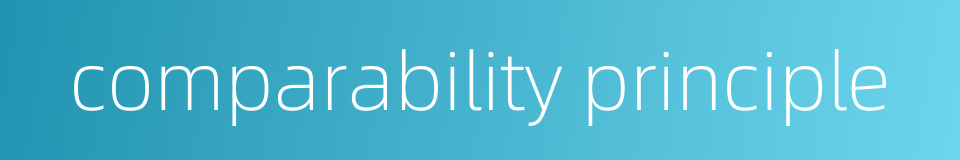 comparability principle的同义词