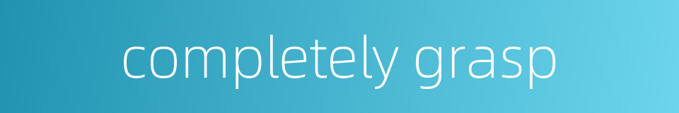 completely grasp的同义词