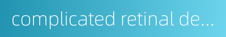 complicated retinal detachment的同义词