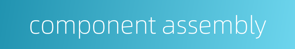 component assembly的同义词