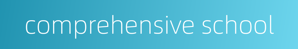 comprehensive school的同义词