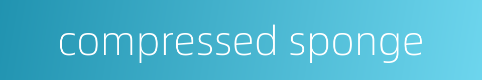 compressed sponge的同义词