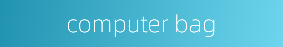 computer bag的同义词