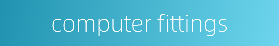 computer fittings的同义词