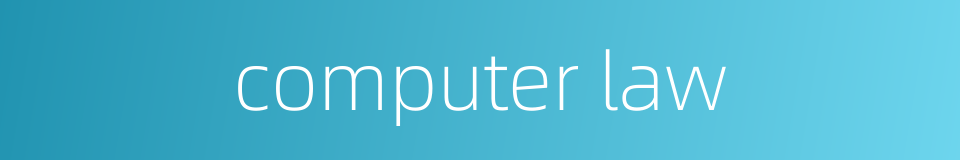 computer law的同义词