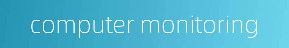 computer monitoring的同义词