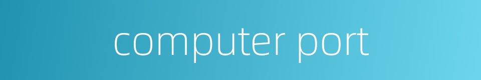 computer port的同义词