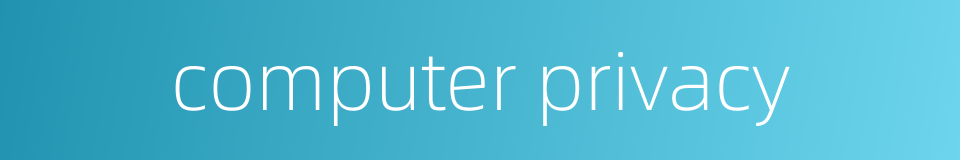 computer privacy的同义词