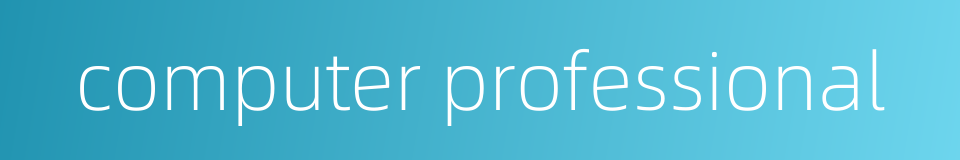 computer professional的同义词