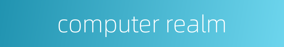 computer realm的同义词