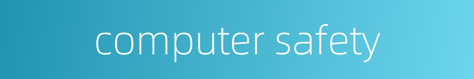 computer safety的同义词