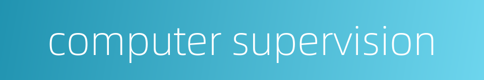 computer supervision的同义词