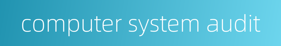 computer system audit的同义词