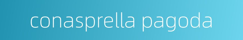 conasprella pagoda的同义词