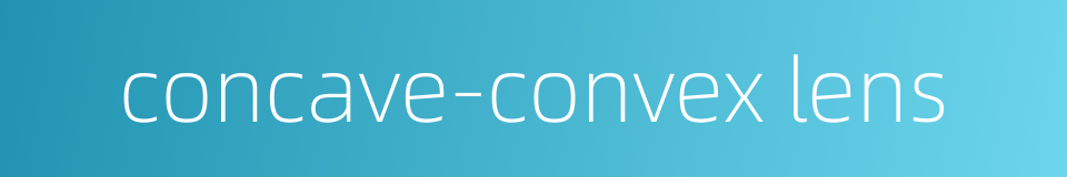 concave-convex lens的同义词