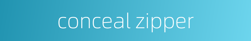 conceal zipper的同义词