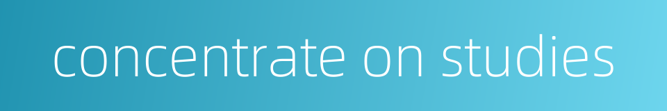 concentrate on studies的同义词